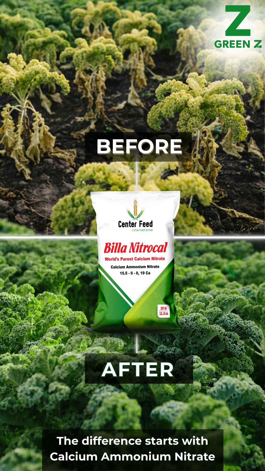 Calcium Ammonium Nitrate