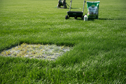 Weed Control and Fertilizer: How to Achieve a Healthier, Greener, and Weed-Free Lawn