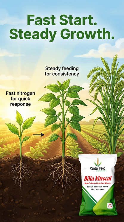 Calcium Ammonium Nitrate