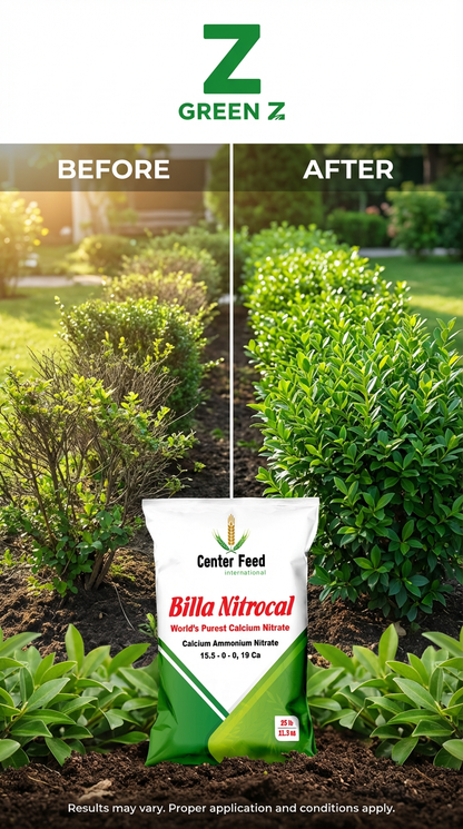 Calcium Ammonium Nitrate