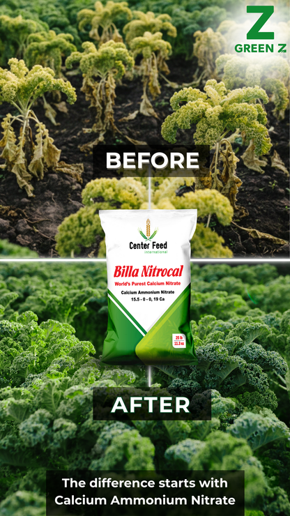 Calcium Ammonium Nitrate