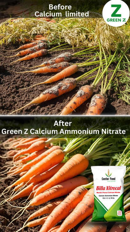 Calcium Ammonium Nitrate
